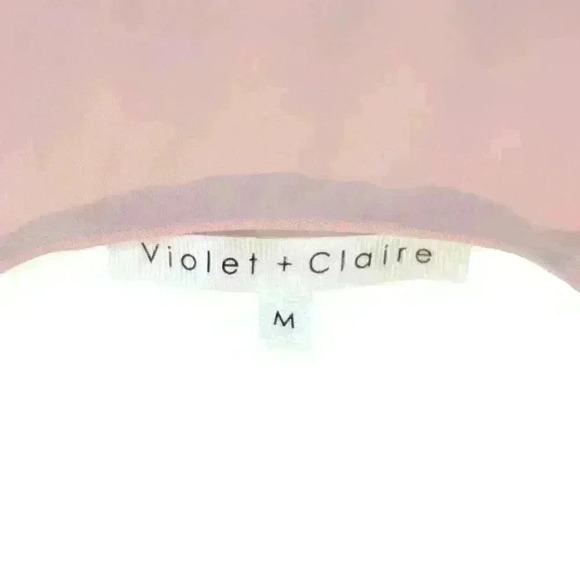 Violet + Claire Sheer Baby Pink Long Sleeve Blouse V-Neck w/ Ruching Size Medium - Picture 4 of 7